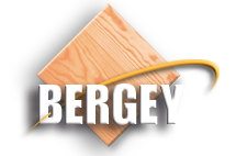 bergey logo p